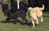 lq3v8981.jpg
