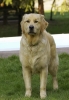 lq3v8986.jpg