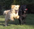 lq3v8987.jpg