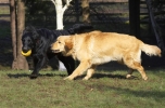 lq3v9002.jpg