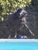 lq3v9167.jpg