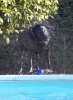 lq3v9168.jpg