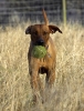 lq3v9277.jpg