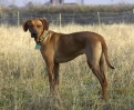 lq3v9289.jpg