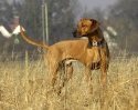 lq3v9307.jpg
