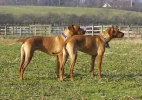 lq3v9337.jpg