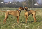 lq3v9340.jpg