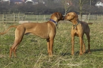lq3v9343.jpg