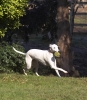 lq3v9375.jpg