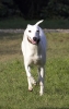 lq3v9439.jpg