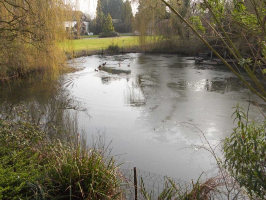 Frozen Pond at Whitecroft
Looking across our pond (lake?) to Sandpit Farms.
Klíčová slova: Ducks Frozen Ice Lake Pond Sandpit Farm Whitecroft Willow