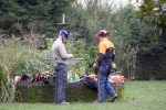 lq3v8622.jpg
