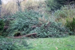 lq3v8625.jpg