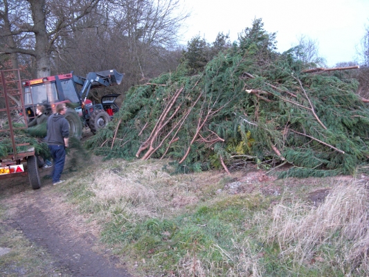 Ben and Jed Building the Bonfire at Lord's Wood
The mission was to build a bonfire whose flames would leap up the top. This became known as the "Wall of Fire Project."  We used leylandii cuttings, both from the front garden at Whitecroft and from other tree surgeons working in the area.  Ben and Jed are unloading the last bit of cuttings from the trailer.
Schlüsselwörter: Ben Bonfire Deforestation Deforested Environment Fire Firewood Flames Jed Leylandii Lords Wood Lord's Wood Molten Red Hot Tractor Trailer Woodland