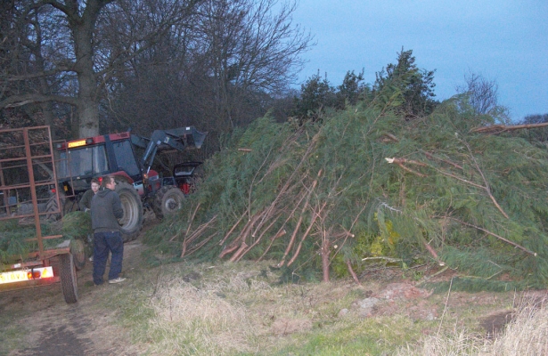 Unloading More Leylandii onto the "Wall of Fire"
Słowa kluczowe: Ben Bonfire Deforestation Deforested Environment Fire Firewood Flames Jed Leylandii Lords Wood Lord's Wood Molten Red Hot Tractor Trailer Woodland