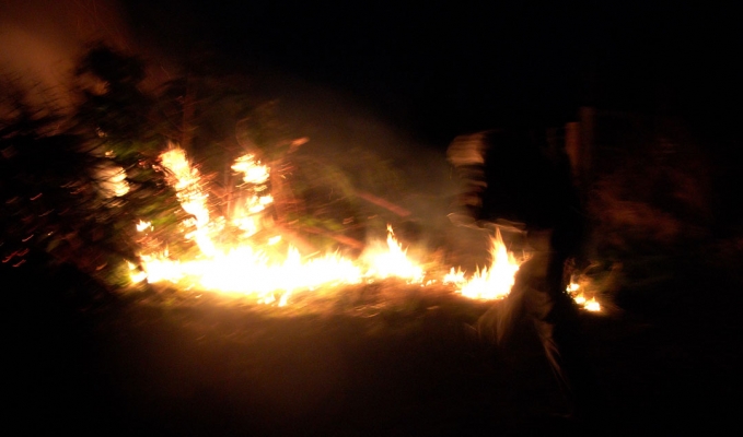 The Bonfire at Lord's Wood
Keywords: Bonfire Deforestation Deforested Environment Fire Firewood Flames Leylandii Lords Wood Lord's Wood Molten Red Hot Woodland