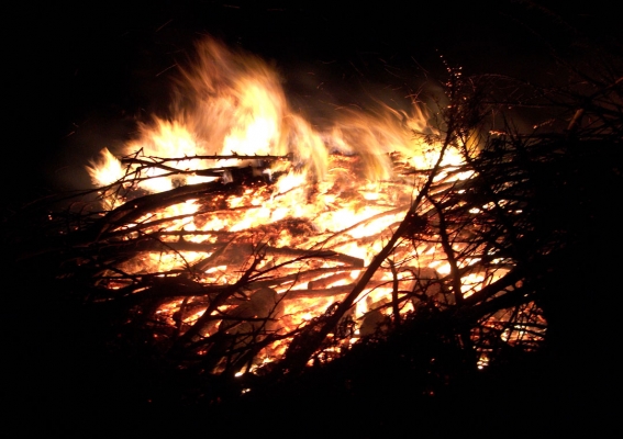 Leylandii Logs Burning on the Bonfire
Keywords: Bonfire Deforestation Deforested Environment Fire Firewood Flames Leylandii Lords Wood Lord's Wood Molten Red Hot Woodland