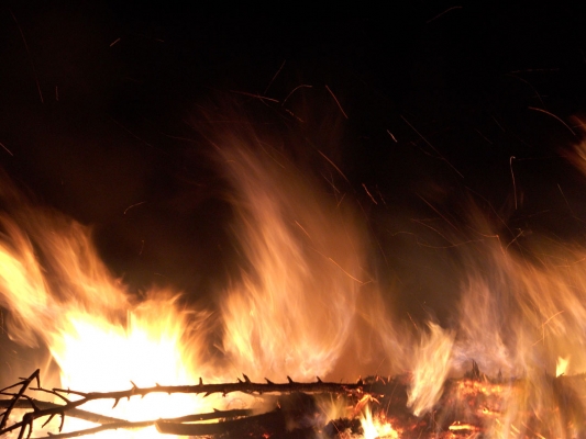 Flames and Sparks Against the Evening Sky
Palabras clave: Bonfire Deforestation Deforested Environment Fire Firewood Flames Leylandii Lords Wood Lord's Wood Molten Red Hot Woodland