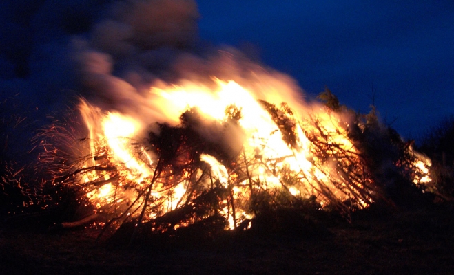 Flames
Palabras clave: Bonfire Deforestation Deforested Environment Fire Firewood Flames Leylandii Lords Wood Lord's Wood Molten Red Hot Wind Woodland