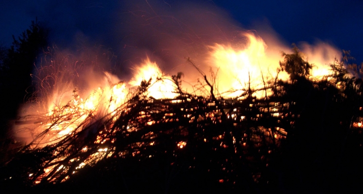 Flames at the Top of the Bonfire
Schlüsselwörter: Bonfire Deforestation Deforested Environment Fire Firewood Flames Leylandii Lords Wood Lord's Wood Molten Red Hot Woodland