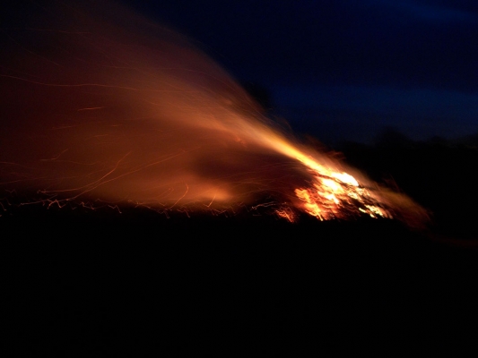 Side View of the Bonfire
The wind was coming from the West (the right of this photograph).  When viewed from the side, the fire almost looks like a rocket engine, or a comet.
Palabras clave: Bonfire Comet Deforestation Deforested Environment Fire Firewood Flames Leylandii Lords Wood Lord's Wood Molten Red Hot Rocket Sparks Wind Woodland