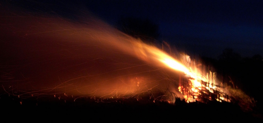 Side View of the Wall of Fire
The wind was quite strong, and made the fire almost look like a comet when viewed from the side.
Avainsanat: Bonfire Comet Deforestation Deforested Environment Fire Firewood Flames Leylandii Lords Wood Lord's Wood Molten Red Hot Rocket Sparks Wind Woodland