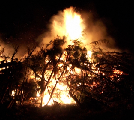 Large Flame
Keywords: Bonfire Deforestation Deforested Environment Fire Firewood Flames Leylandii Lords Wood Lord's Wood Molten Red Hot Woodland