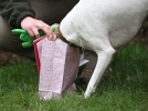 2q9w8089.jpg