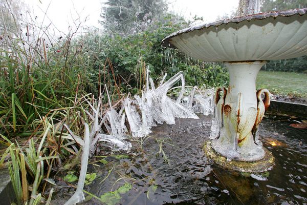 The Whitecroft Swan Fountain
The water in the fountain managed to coat the reeds with a layer of ice.  Not exactly a Jacuzzi.
Palabras Clave: Jacuzzi ice fountain Swan Whitecroft cold November England