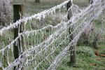 frozen-fence.jpg