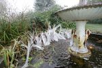 ice-reeds.jpg