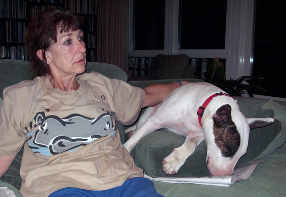 Marjorie Having a Rest -- With Mana
Marjorie is watching TV, while Mana sleeps
Keywords: Marjorie Mana English bull terrier
