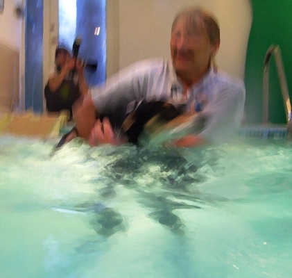 Energetic Murphy
Murphy trying to swim away from Cathy to the side of the pool.  Marjorie photographing from the back.
Słowa kluczowe: Animal Animals Canine hydrotherapy Cathy Bushby Dog Dogs Lurcher Marjorie Murphy Pet Pets Photograph Swimming