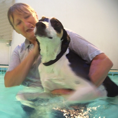 Murphy and Cathy in the Pool
Schlüsselwörter: Animal Animals Canine hydrotherapy Cathy Bushby Dog Dogs Lurcher Murphy Pet Pets Swimming