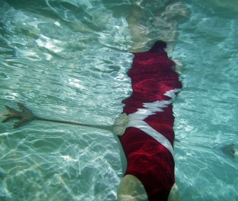 How did I do that!!!!!!!!!!!
Keywords: Bath Hot Marjorie Pool Roman baths Swimming Water