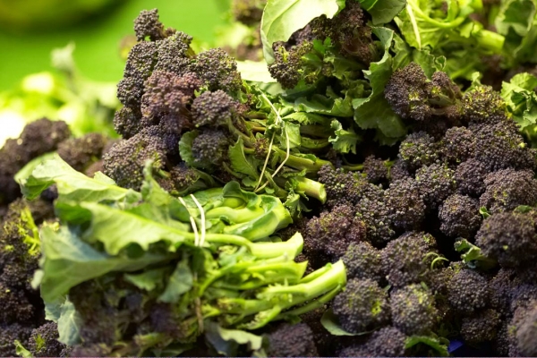 Purple Sprouting at the Pershore Market
Schlüsselwörter: Food Pershore Purple sprouting Vegetables