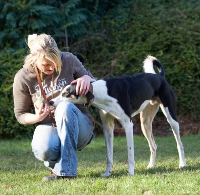 I think you got something for me
Keywords: Blonde Dog Dogs Kate Lurcher Murphy Play Playing Playtime Woman