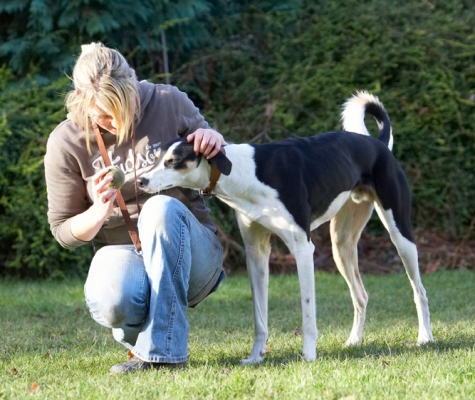 Well, what do you want me to with that
Mots-clés: Ball Blonde Dog Dogs Kate Lurcher Murphy Play Playing Playtime Woman
