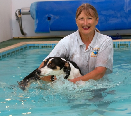 WHOSE idea was this??!!
Ključne besede: Blonde Cathy Dog Dogs Lurcher Murphy Play Playing Playtime Pool Smile Smiling Swim Swimming Woman