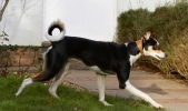 2Q9W5242.jpg