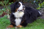 lq3v8607.jpg