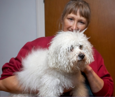 Wow, I didn't know I was this white!!
Palabras clave: Bath Bolognese Cathy Dog Dogs Lulu Oscar Shower Time