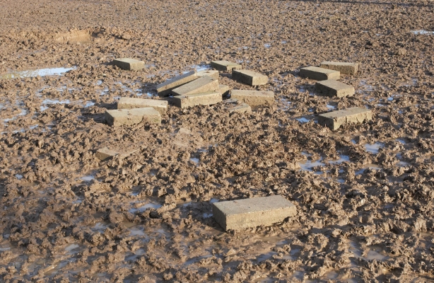Stones From An Ancient Civilisation?
We tried concrete blocks as a foundation for the wild boar pig arcs (or huts).  This is what the wild boar thought of that plan.
Palabras Clave: Animal Animals Blocks Boar Boars Concrete Hog Hogs Land Mammal Land Mammals Lucies Farm Mud Rain Swine Terrestrial Mammal Terrestrial Mammals Wild boar