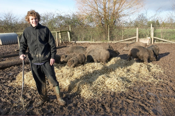Kalvin and the Wild Boar
Keywords: Animal Animals Boar Boars Hog Hogs Kalvin Brookes Land Mammal Land Mammals Lucies Farm Mud Rain Swine Terrestrial Mammal Terrestrial Mammals Wild boar