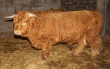 jan_14_08-farm-0154.jpg