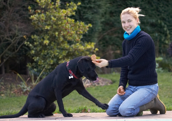 Please, please can I have it now
Schlüsselwörter: Beg Begging Blonde Dog Dogs Girl Hanka Labrador Play Playing Playtime Sit Sitting Smile Smiling Thelma Woman