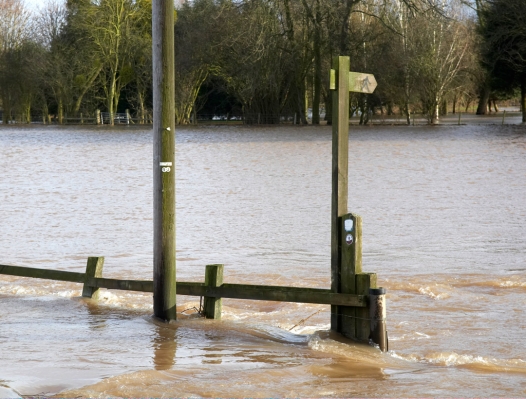 This would be a soggy walk
Keywords: Flood Flooding Floods Powick Worcester