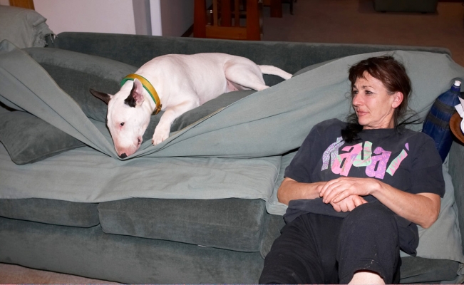 I'll try hiding this way
Palabras clave: Bull Dog Dogs English Mana Marjorie Rest Resting Sleep Sleeping Terrier Terriers