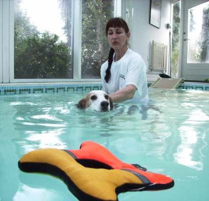 You don't look happy, what about me!!
Schlüsselwörter: Beagle Dog Dogs Lesson Marjorie Pool Stan Swim Swimming