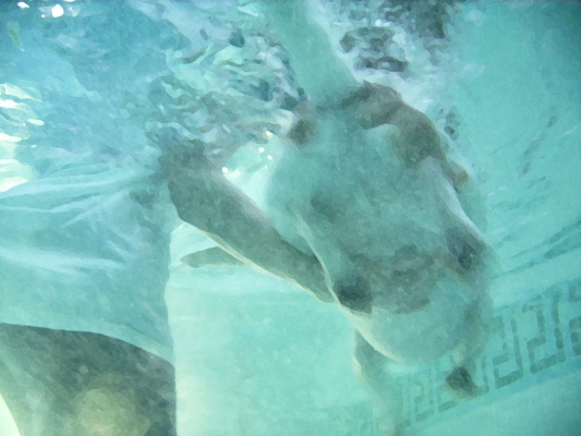 Well, at least I'm moving my legs
Anahtar kelimeler: Beagle Dog Dogs Lesson Pool Stan Swim Swimming Underwater